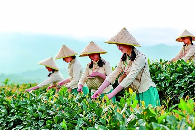 九游娱乐：福建：向“新”而动民营经济提质升级(图3)