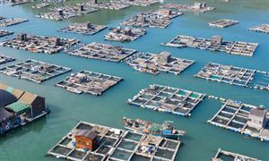 九游娱乐：2023年船舶智能化行业市场发展现状分析(图6)