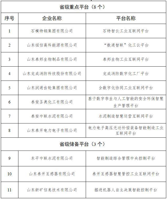 九游娱乐网站：泰安市8个项目入选2024年省级工业互联网重点平台公示名单(图1)