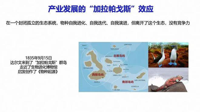 九游娱乐平台：产业之声安筱鹏：超越AI大模型的“加拉帕戈斯”效应(图1)