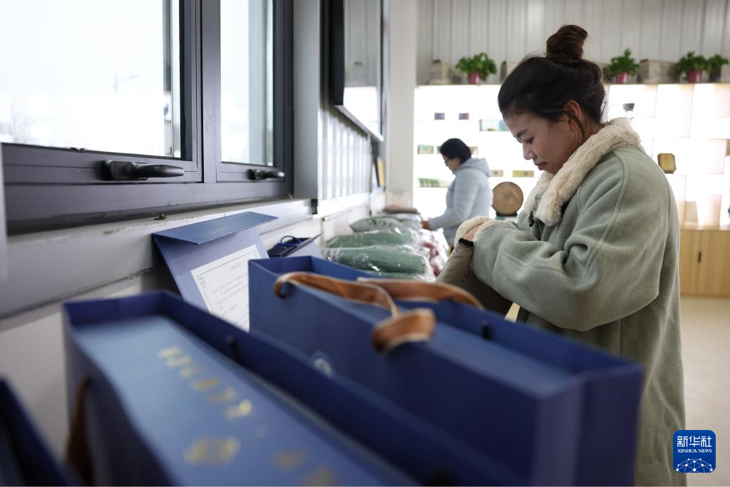 九游娱乐网站：甘肃灵台：特色艾草产业赋能乡村振兴(图8)