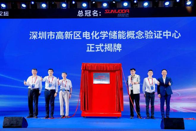 九游娱乐：集群汇聚新质生产力绿色孕育能源新动能——2024先进电池产业集群论坛举行(图3)