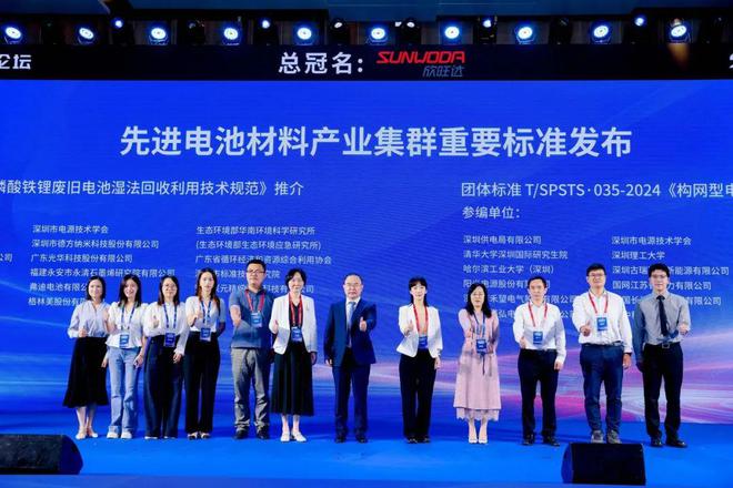 九游娱乐：集群汇聚新质生产力绿色孕育能源新动能——2024先进电池产业集群论坛举行(图4)