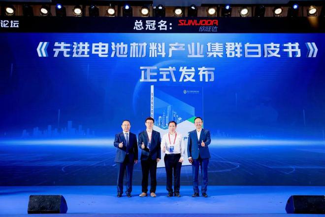 九游娱乐：集群汇聚新质生产力绿色孕育能源新动能——2024先进电池产业集群论坛举行(图5)