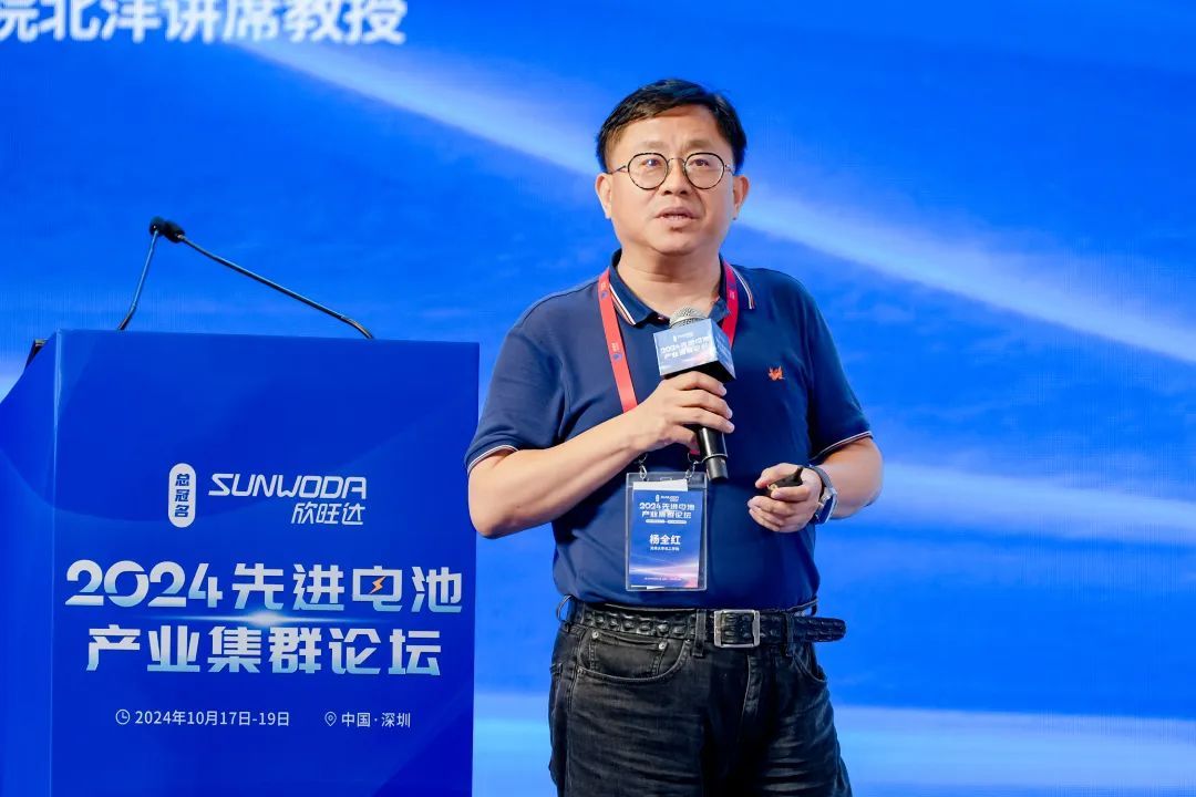 九游娱乐平台：2024先进电池产业集群论坛盛大开幕(图1)