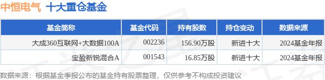 九游娱乐平台：2月14日中恒电气跌531%大成360互联网+大数据100A基金重仓该股(图1)