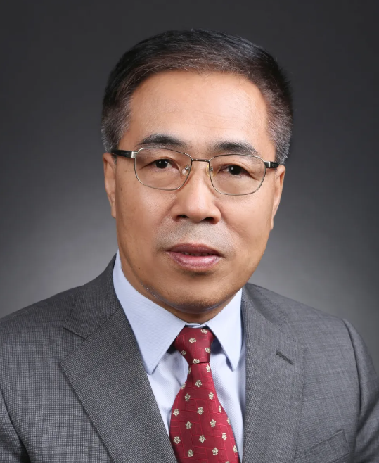 九游娱乐网站：他当选国际航联主席(图2)