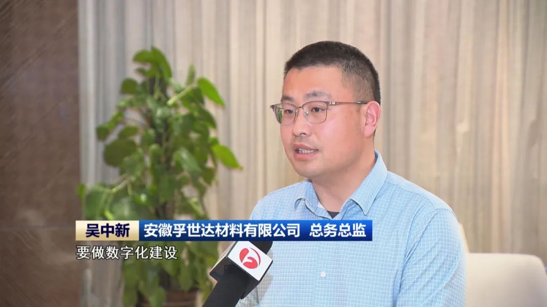 九游娱乐网站：【科技创新引领新质生产力发展】投资向“新”产业提“质”安徽奋力“往前赶”(图9)