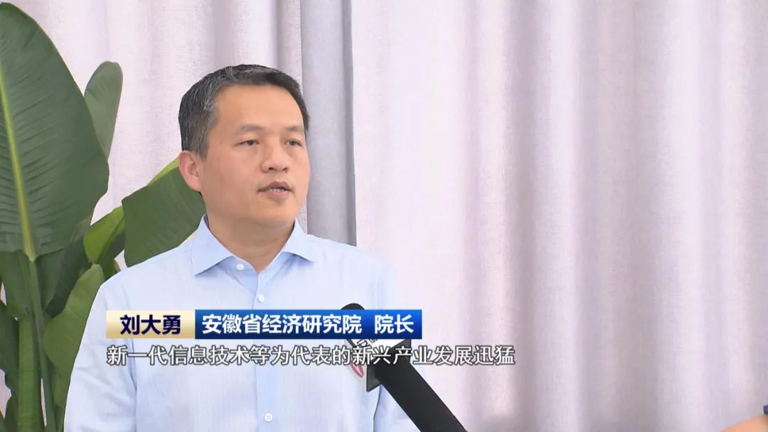 九游娱乐网站：【科技创新引领新质生产力发展】投资向“新”产业提“质”安徽奋力“往前赶”(图12)