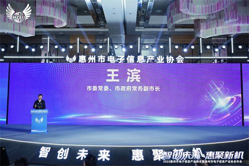 九游娱乐:智创未来惠聚新机2025惠州市电子信息产业峰会暨协会年会召开(图9)