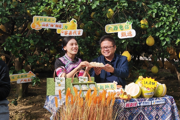 九游娱乐：玉林电信：数字赋能智绘玉林新画卷(图3)