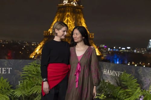 九游娱乐:赵婷不会是下一个李安(图6)