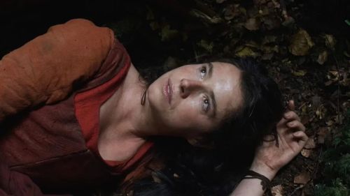 九游娱乐:赵婷不会是下一个李安(图4)