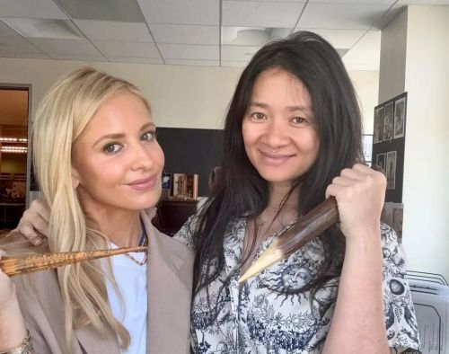 九游娱乐:赵婷不会是下一个李安(图11)