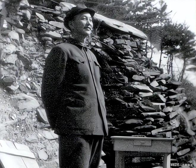 九游娱乐：东北十七年坚守中央派专机接回京叶帅：这些年你受委屈了(图1)